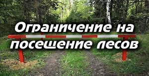 Ограничение на посещение лесов.