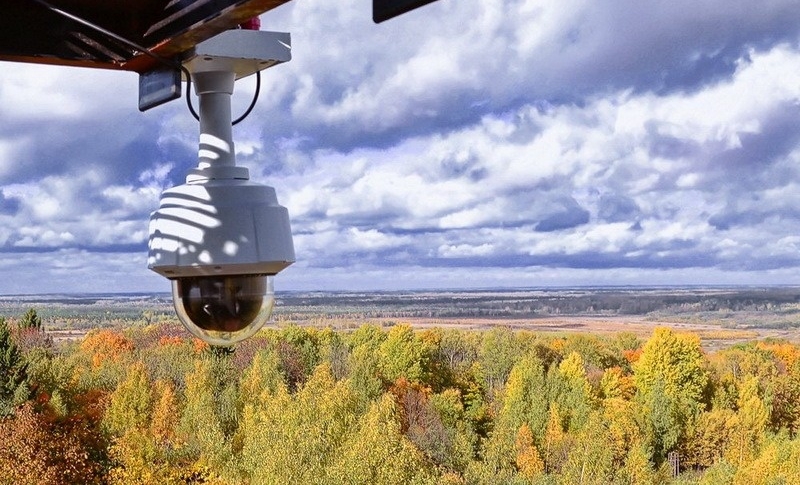 До 1 марта 2024 года во всех лесах Беларуси установят системы видеонаблюдения
