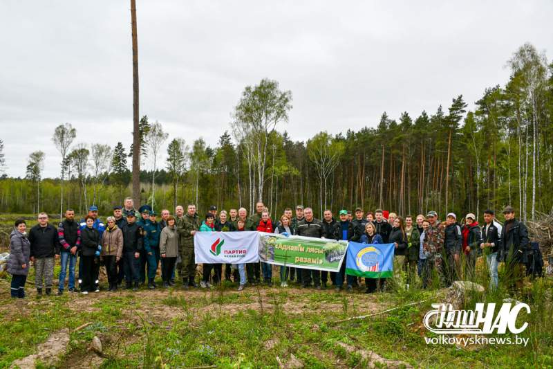 Общественность Волковысского района 12 апреля приняла участие в акции «Аднавім лясы разам!»