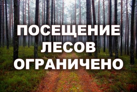 На территории Волковысского лесхоза введено ограничение на посещение лесов
