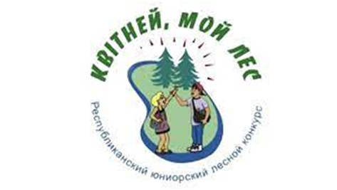 Волковысский лесхоз приглашает принять участие в юниорском лесном конкурсе «Квiтней, мой лес»